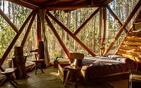 Cabanas Curi-Huapi